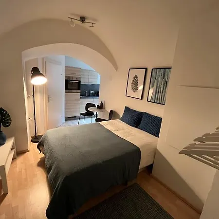 Franziskaner #6 公寓