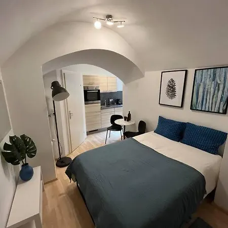 Franziskaner #6 Apartmán Štýrský Hradec